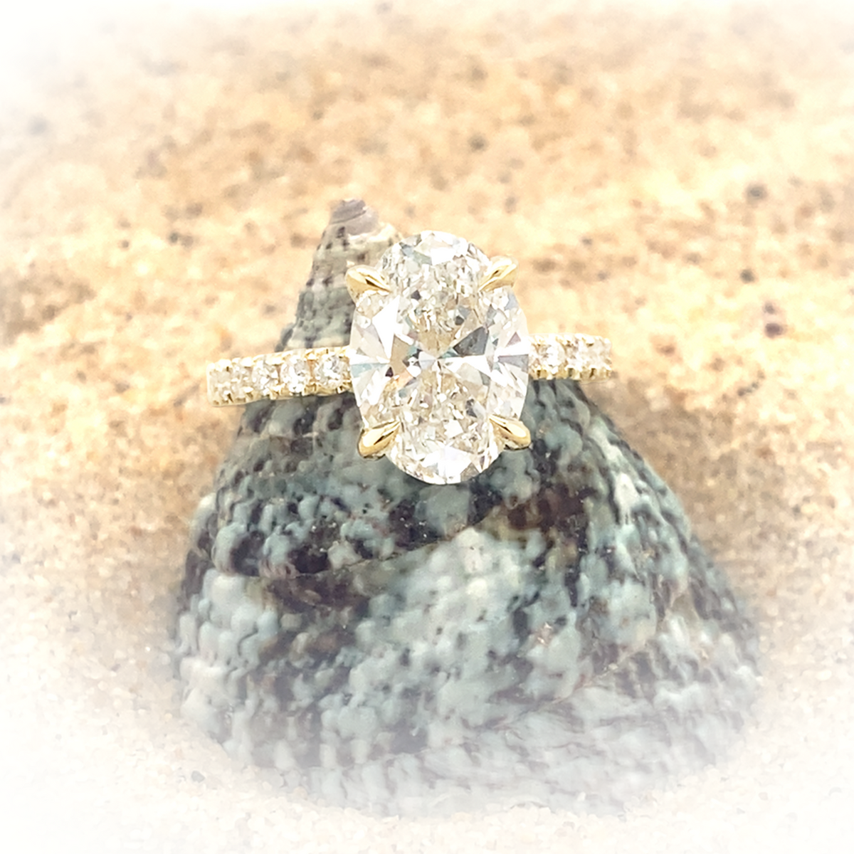 JEAN - CM - Paddington Jeweller - Ojco