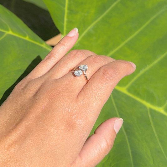 Alayna - Toi et Moi - Paddington Jeweller - Ojco