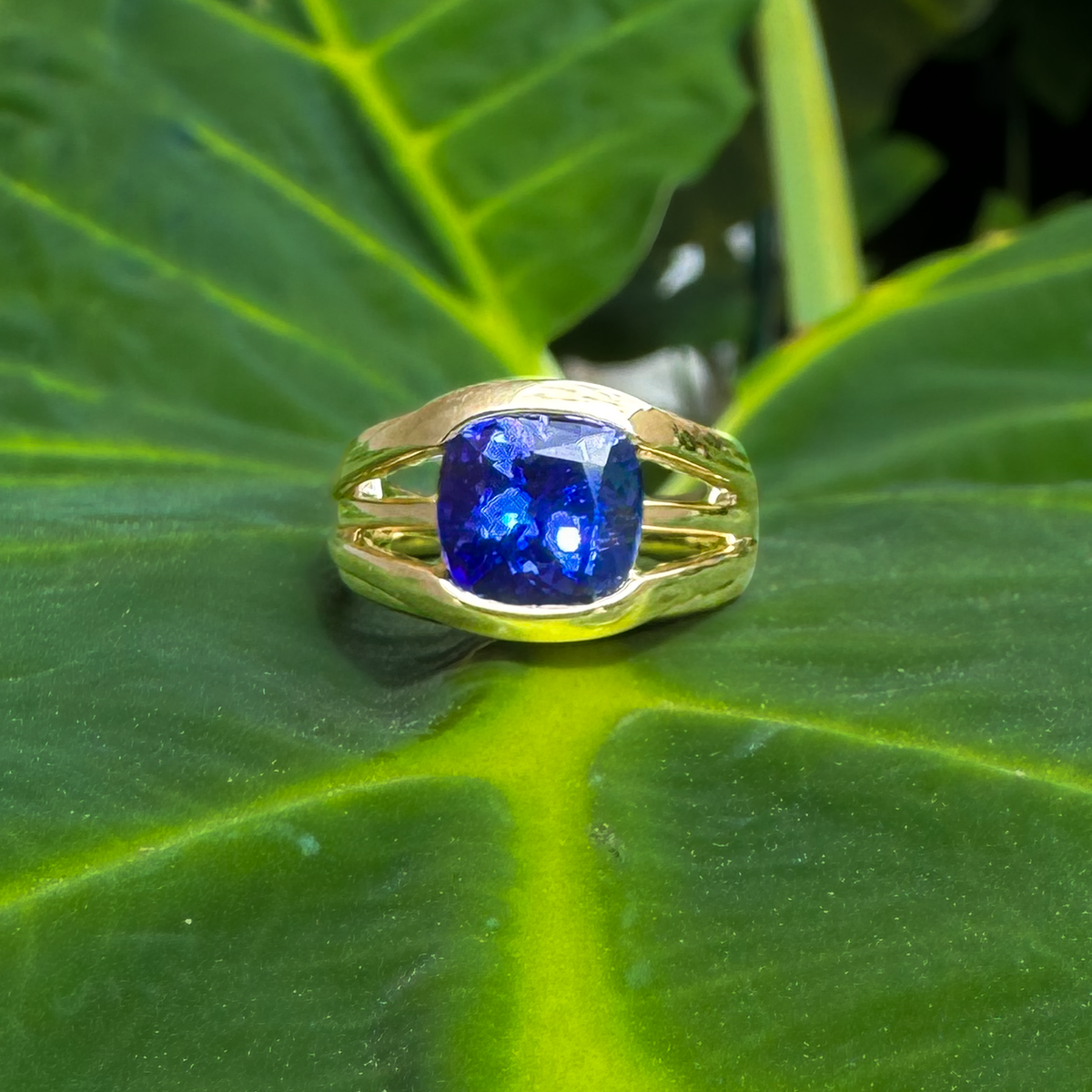 Camile - Tanzanite - Paddington Jeweller - Ojco