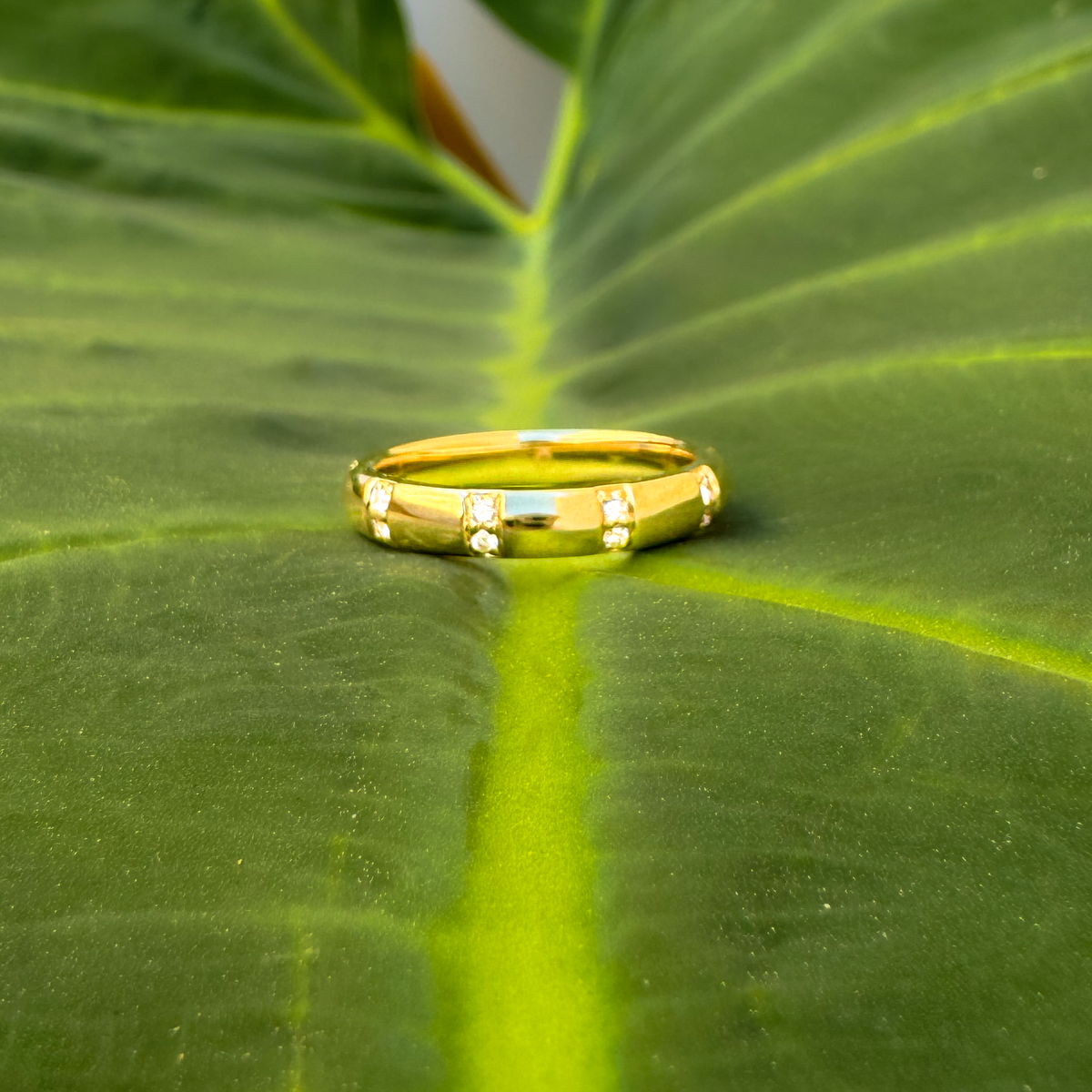 Lesley CM - Paddington Jeweller - Ojco