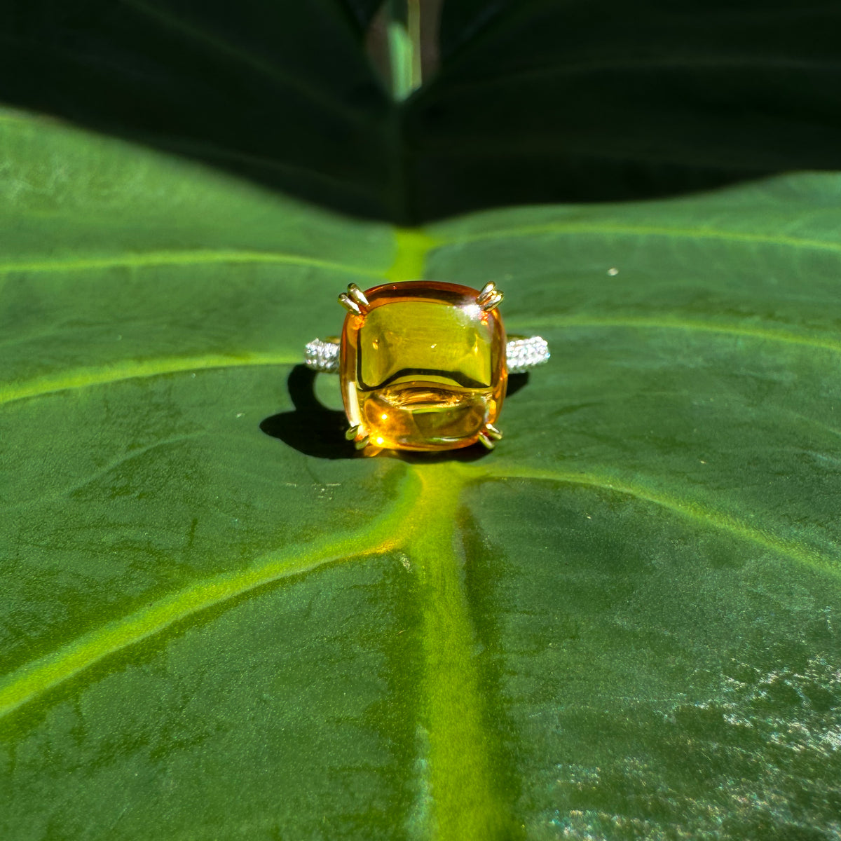 Zoya Ring - Paddington Jeweller - Ojco
