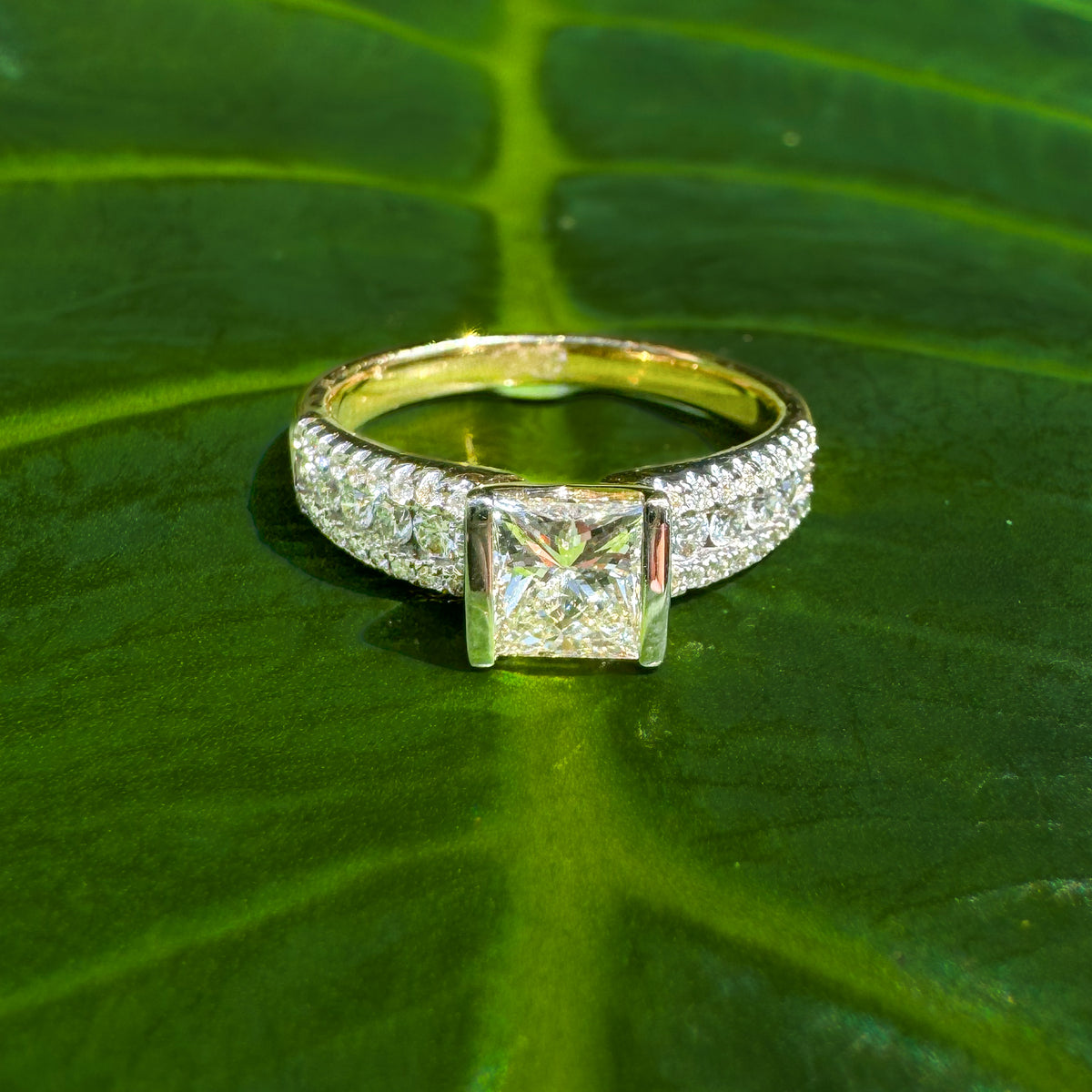 Austin Ring - Paddington Jeweller - Ojco