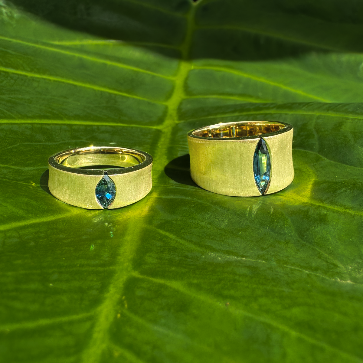 VALE_grande CM - Paddington Jeweller - Ojco