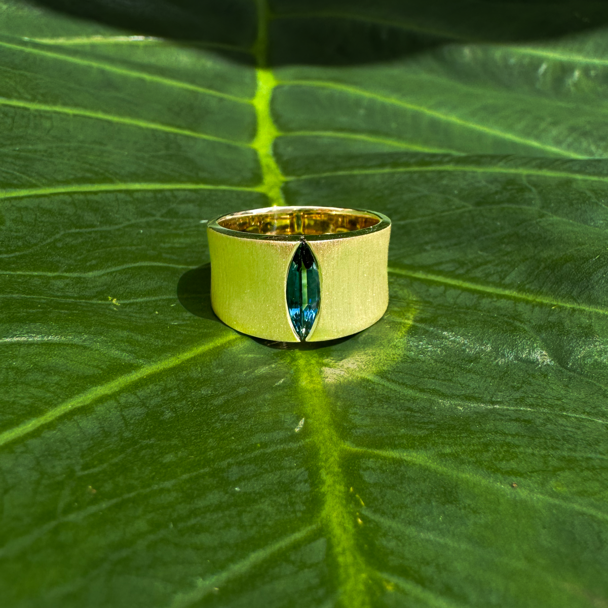 VALE_grande CM - Paddington Jeweller - Ojco