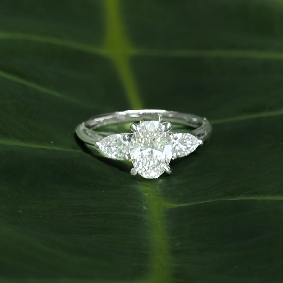 Oval and Pear Trilogy - Paddington Jeweller - Ojco