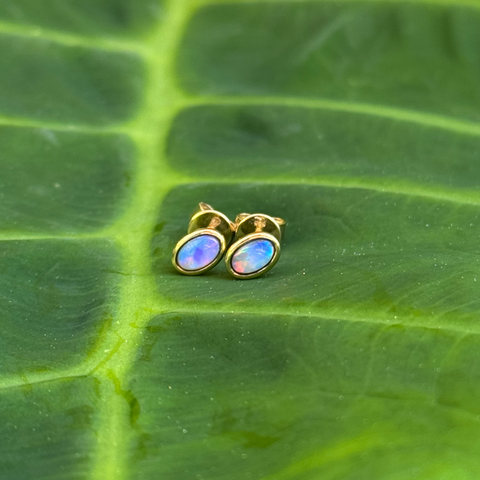 Delany - Australian Light Opal Earrings