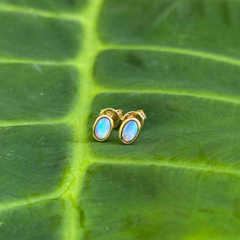 Delany - Australian Light Opal Earrings