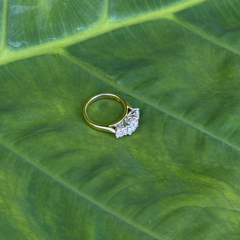 Alison – Custom Trilogy Ring -  Paddington Jeweller - Ojco