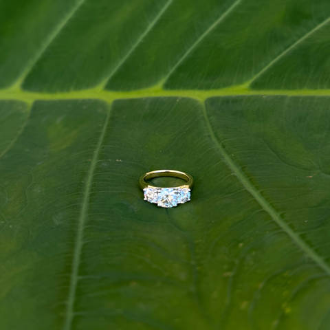 Alison – Custom Trilogy Ring -  Paddington Jeweller - Ojco