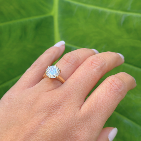 Lauren CM -  Paddington Jeweller - Ojco