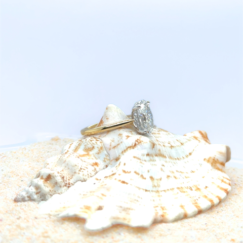 Classic oval diamond solitaire ring photographed on a shell