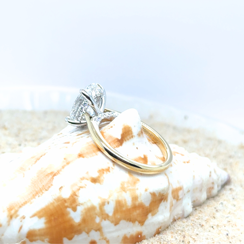 Classic oval diamond solitaire ring photographed on shell