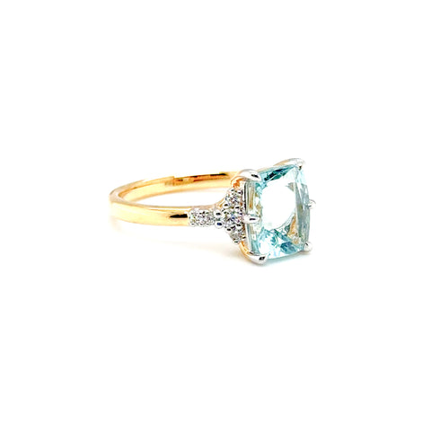 Fina Ring