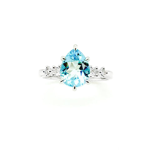 Otto Ring
