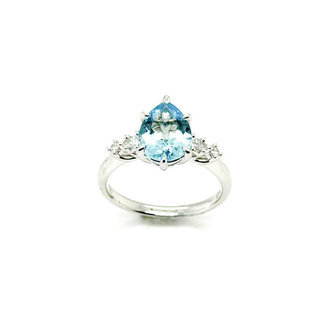 Otto Ring