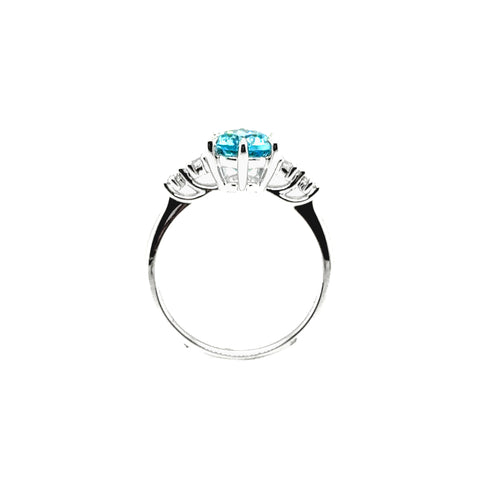 Otto Ring