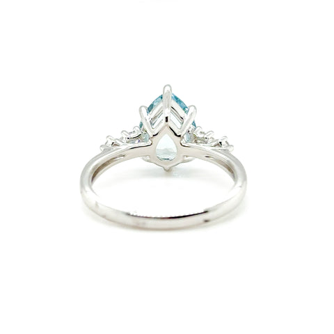 Otto Ring