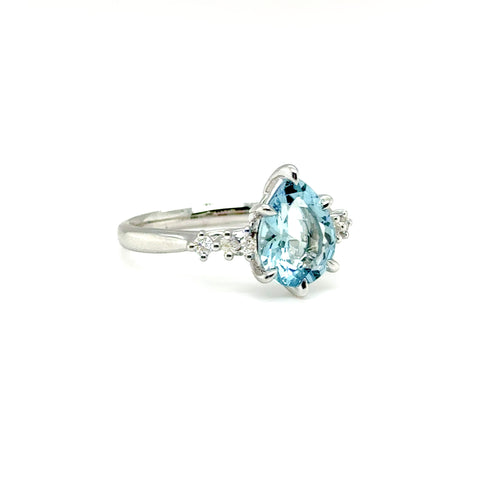 Otto Ring