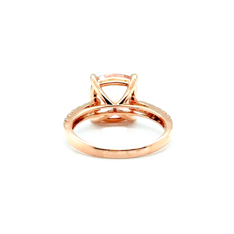 Antonia Ring