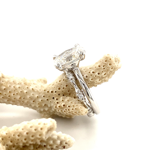 STEPHANIE CM1 -  Paddington Jeweller - Ojco