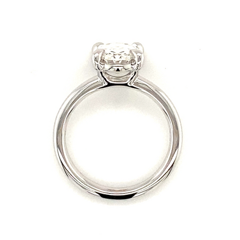 STEPHANIE CM1 -  Paddington Jeweller - Ojco