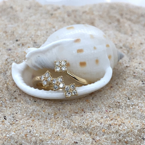 CASS C - CM -  Paddington Jeweller - Ojco