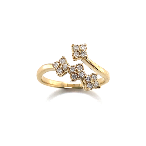CASS C - CM -  Paddington Jeweller - Ojco