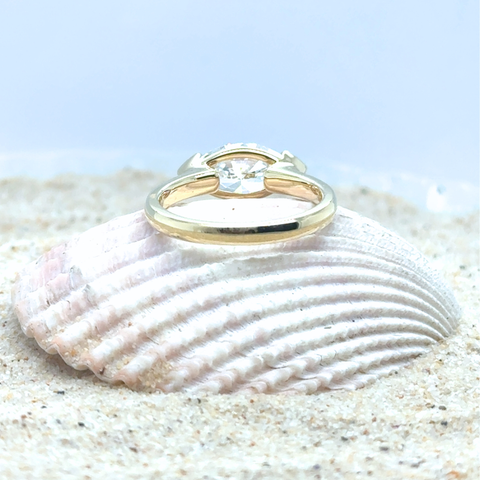 Nova - New Bridal Collection 2025 -  Paddington Jeweller - Ojco