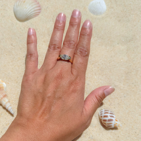 Nova - New Bridal Collection 2025 -  Paddington Jeweller - Ojco