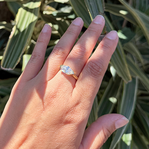 Nova - New Bridal Collection 2025 -  Paddington Jeweller - Ojco