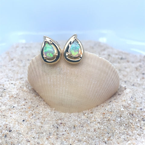Brianna -  Paddington Jeweller - Ojco