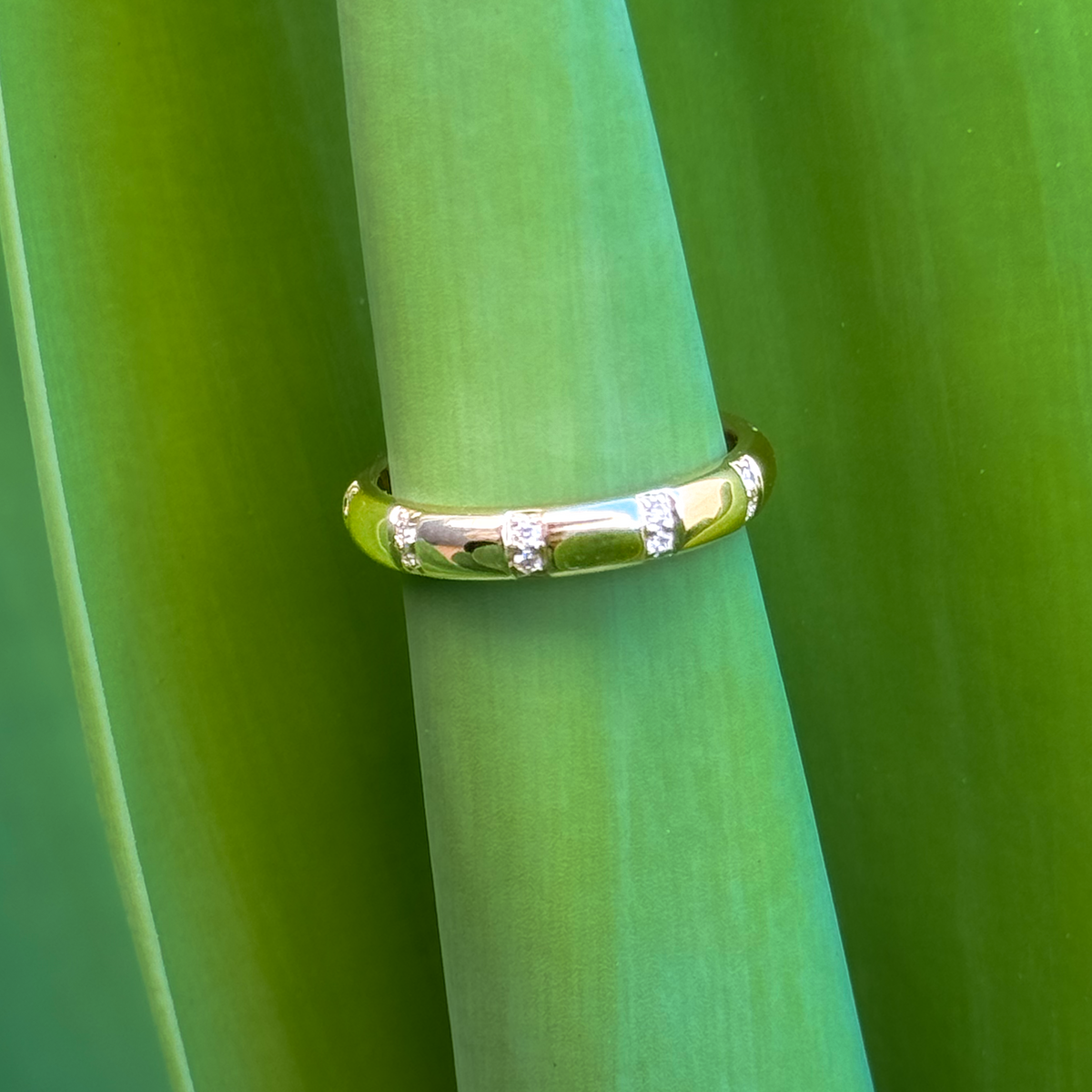 Lesley CM -  Paddington Jeweller - Ojco