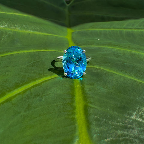 Nina Ring