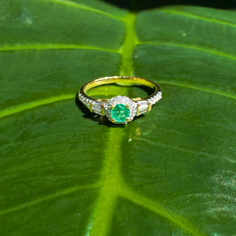 Kiara Ring