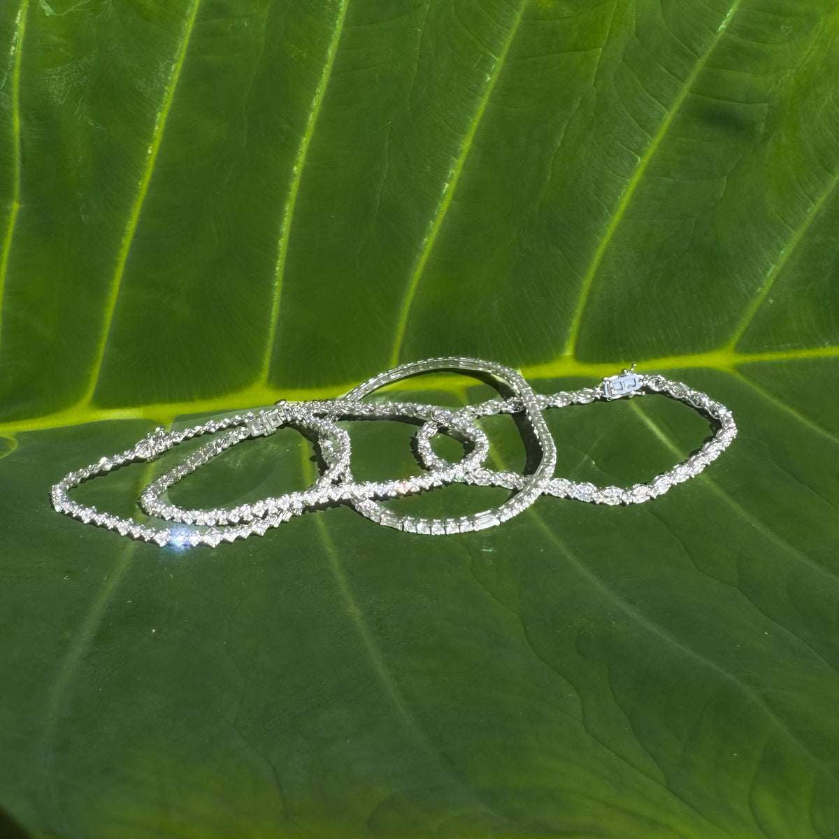 Christa Tennis Bracelet -  Paddington Jeweller - Ojco