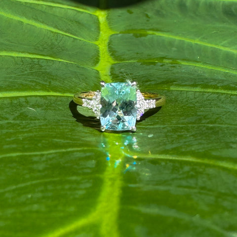 Fina Ring