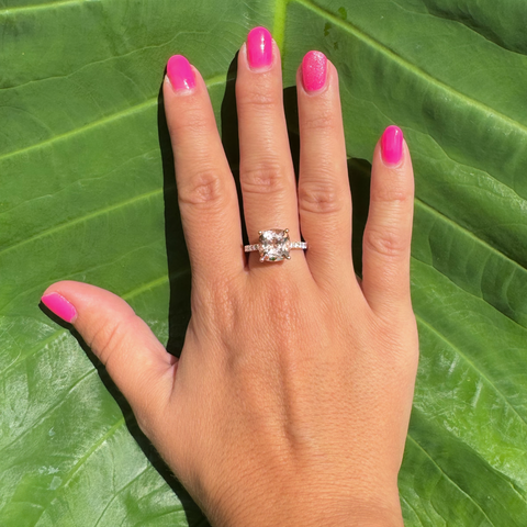 Antonia Ring