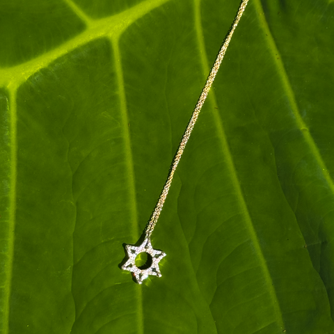 Butterfly Star of David