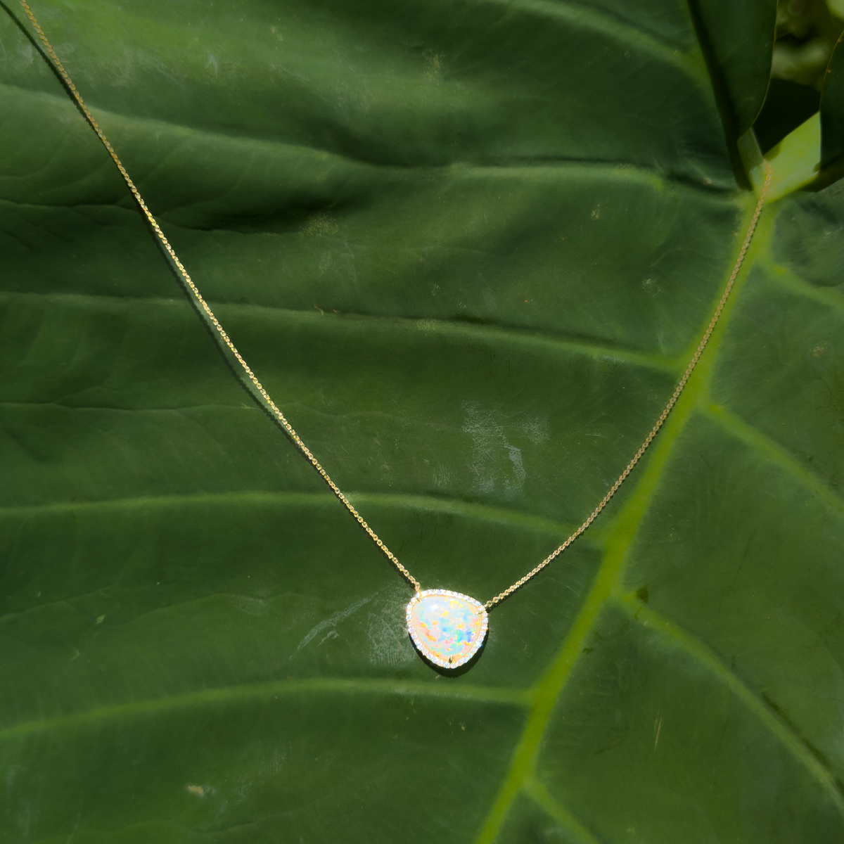 Amy -  Paddington Jeweller - Ojco