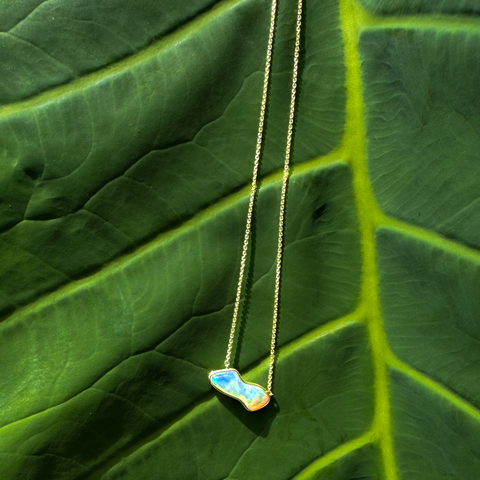 Taylor -  Paddington Jeweller - Ojco