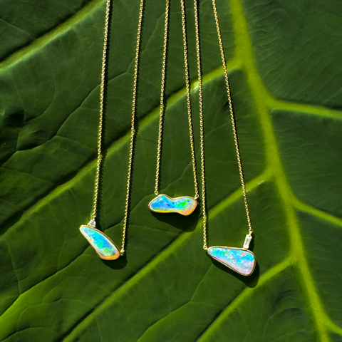 Taylor -  Paddington Jeweller - Ojco