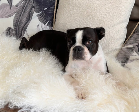 Amphitrite Trilogy Ring