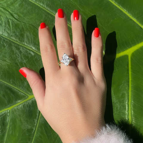 FIONA CM -  Paddington Jeweller - Ojco