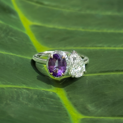 ELEANOR CM -  Paddington Jeweller - Ojco