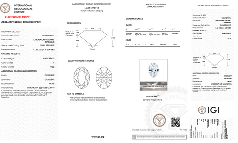 Oval exceptional White LAB Grown Diamond 3.04ct -  Paddington Jeweller - Ojco
