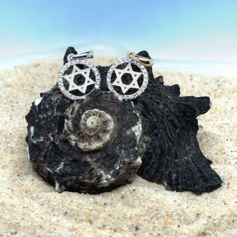 Star of David Diamond Circle of Life pendant Magen David necklace