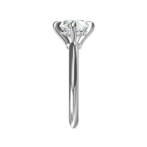 SASHA - CM -  Paddington Jeweller - Ojco