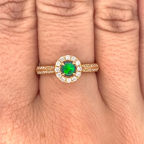 Algae -  Paddington Jeweller - Ojco