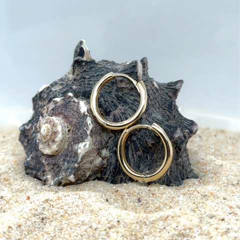 Payton Huggie Earrings -  Paddington Jeweller - Ojco