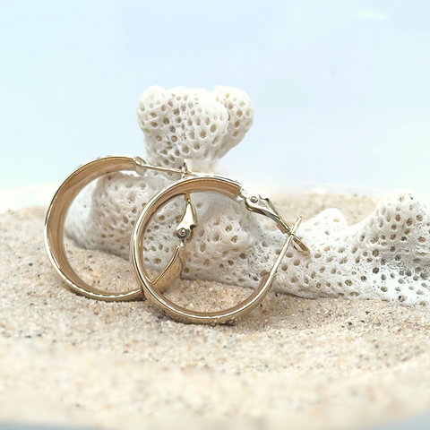 Palmer Hoop Earrings -  Paddington Jeweller - Ojco